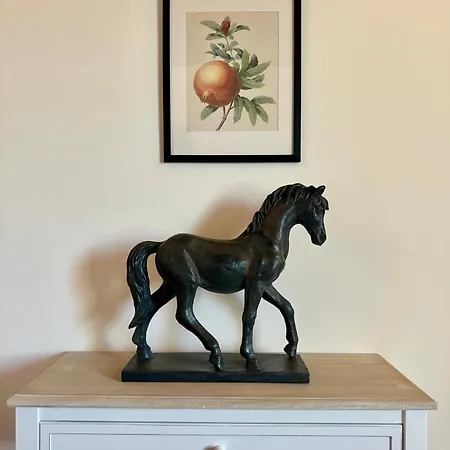 Apartamento Podere Di Montecchio *